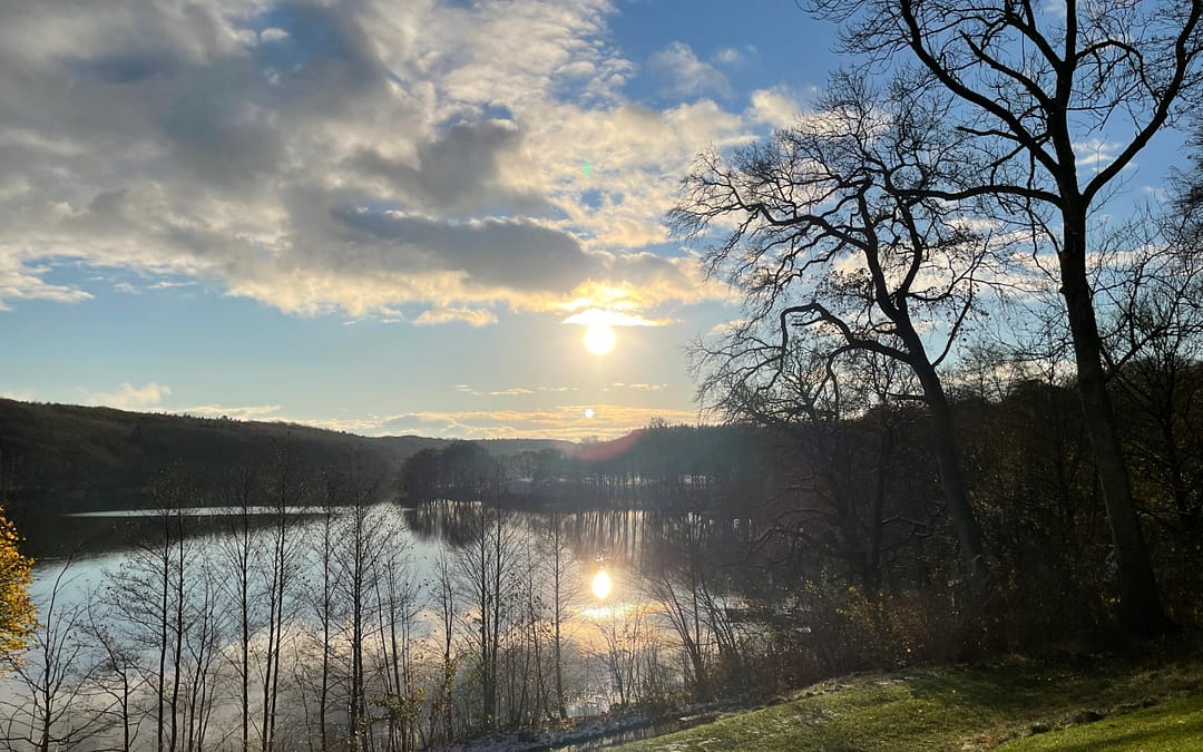 Ny serie: Oversætteren der blev rost!